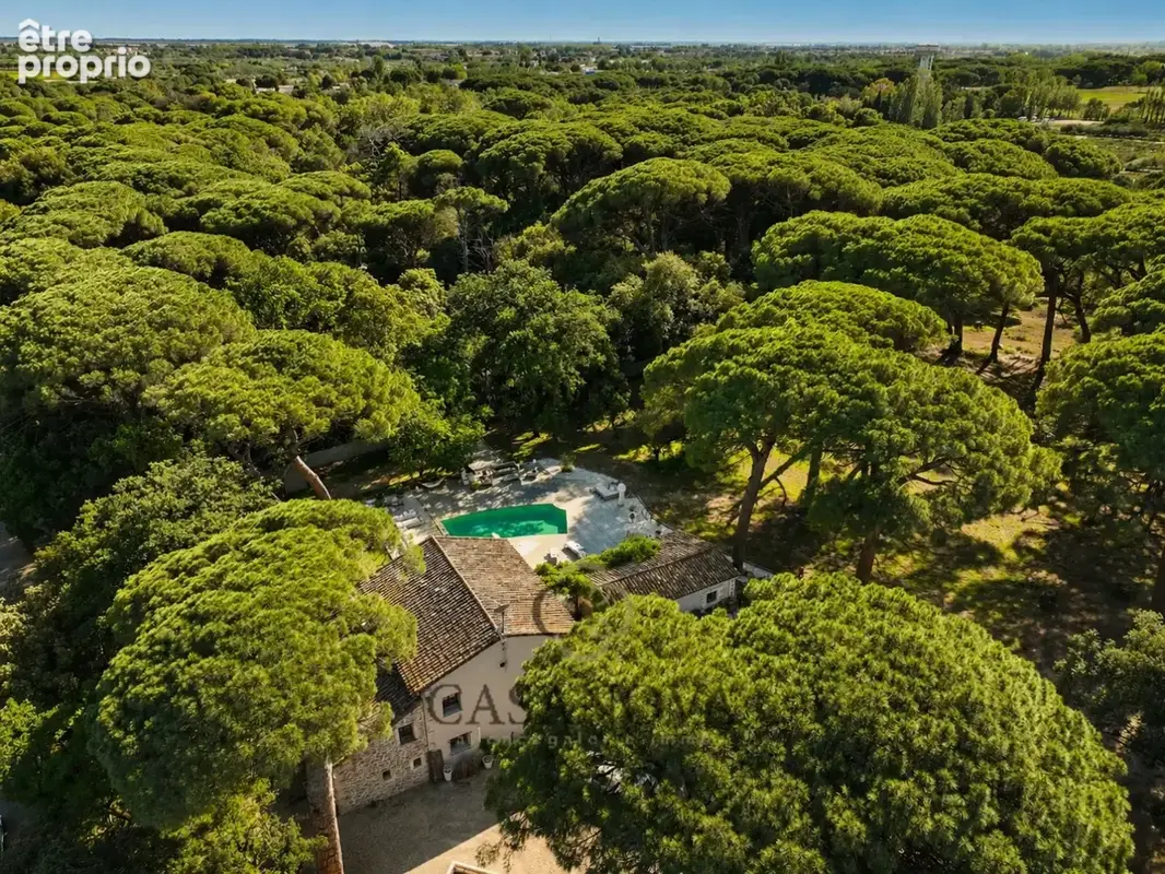 Propriété de caractère ancienne verrerie rénovée  1,4 ha, piscine, dépendance - photo 4