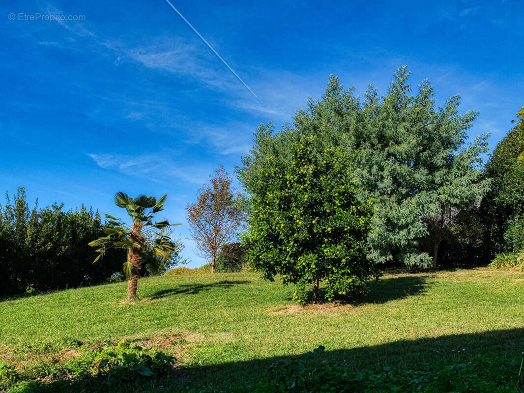Maison à SAINT-JEAN-DE-LUZ