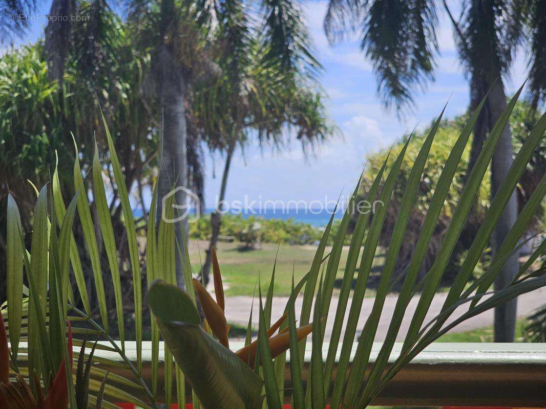 Appartement à SAINT-FRANCOIS