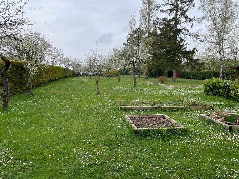 Terrain à ORGEVAL