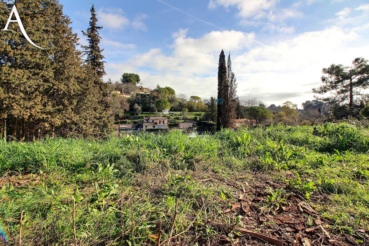 Terrain à MOUGINS