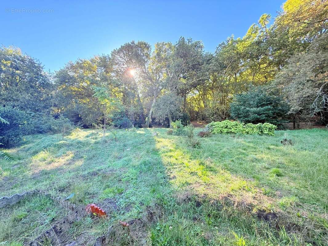 Photo 2 - Maison à ARCACHON