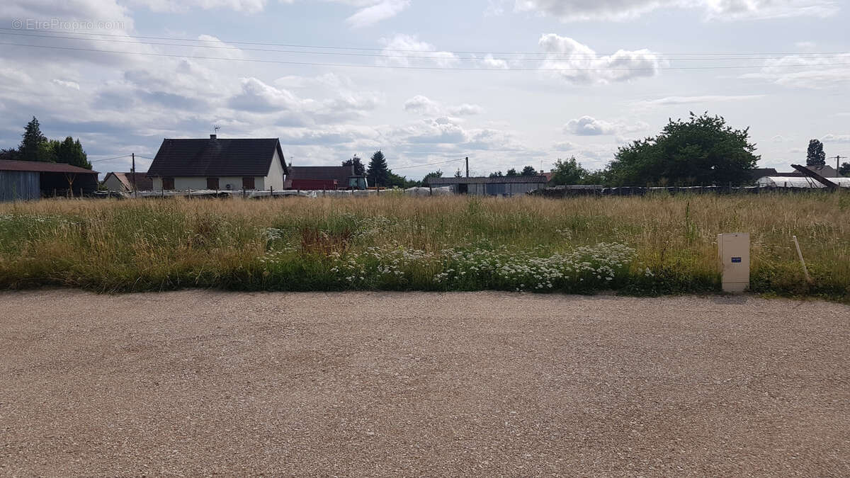 Terrain à L&#039;ABERGEMENT-SAINTE-COLOMBE