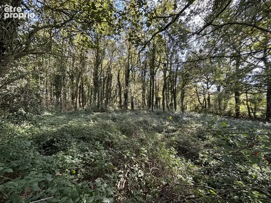 'Un écrin de verdure préservé, rare et recherché aux portes du bourg.' - photo 2