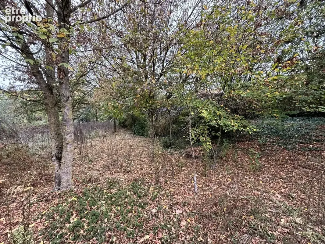 Vente Terrain Presles-et-thierny(02860) 55 000ï¿œ - photo 5