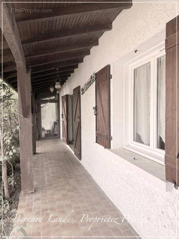 Maison à SAINT-JULIEN-EN-BORN