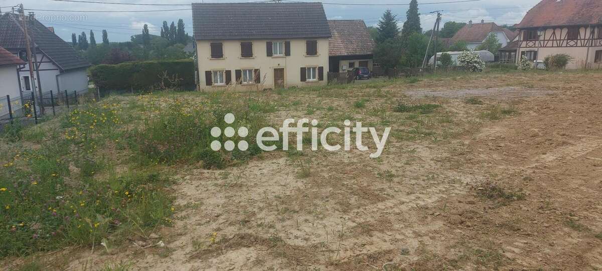 Terrain à SAINT-BERNARD