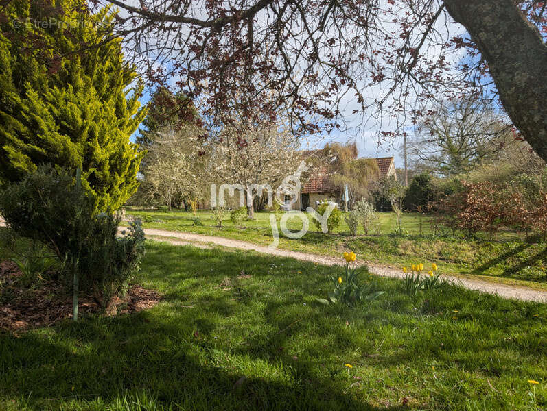 Secteur Mortagne au Perche, maison ancienne rénovée avec goût, jolie jardin, dépendance... - photo 11