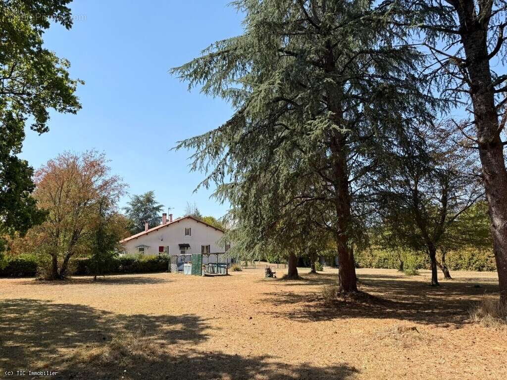 Exclusif : Grande Maison de Famille Dans le Village Médiéval de Verteuil-Sur-Charente - photo 27