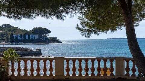 Maison 442 m² à Antibes  - photo 3