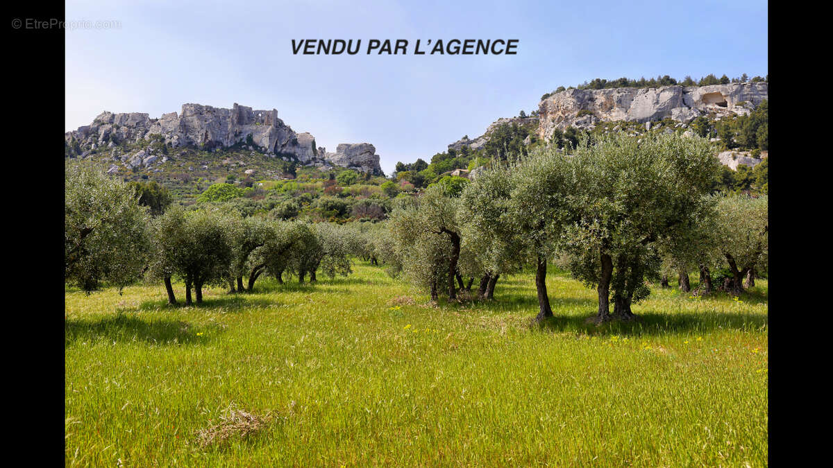 Maison à SAINT-REMY-DE-PROVENCE