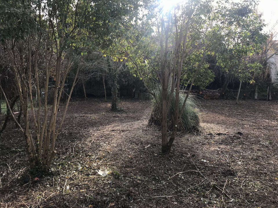 Terrain à AUTERIVE