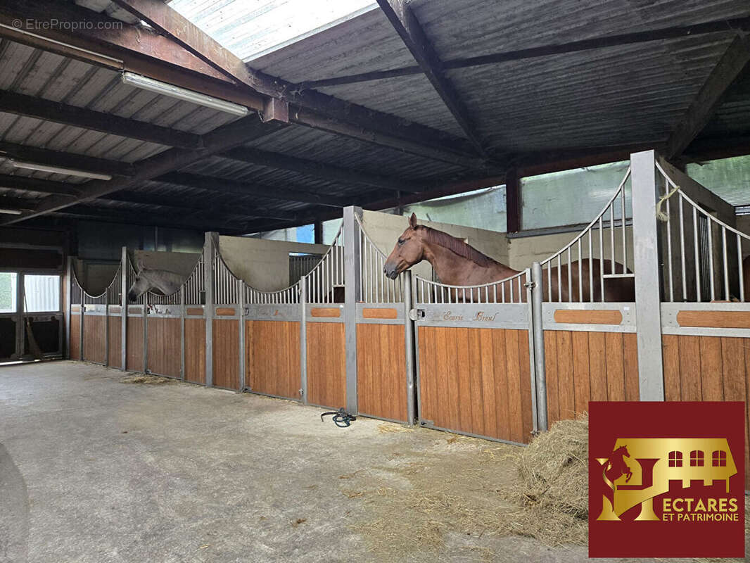 Maison à MARCOUSSIS