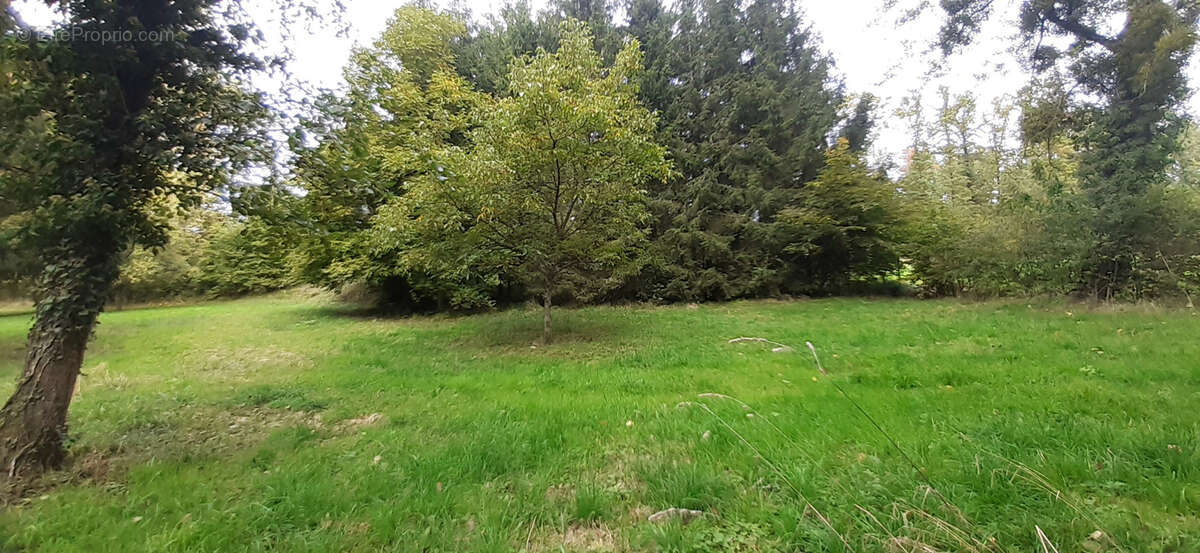 Terrain à LUNEVILLE