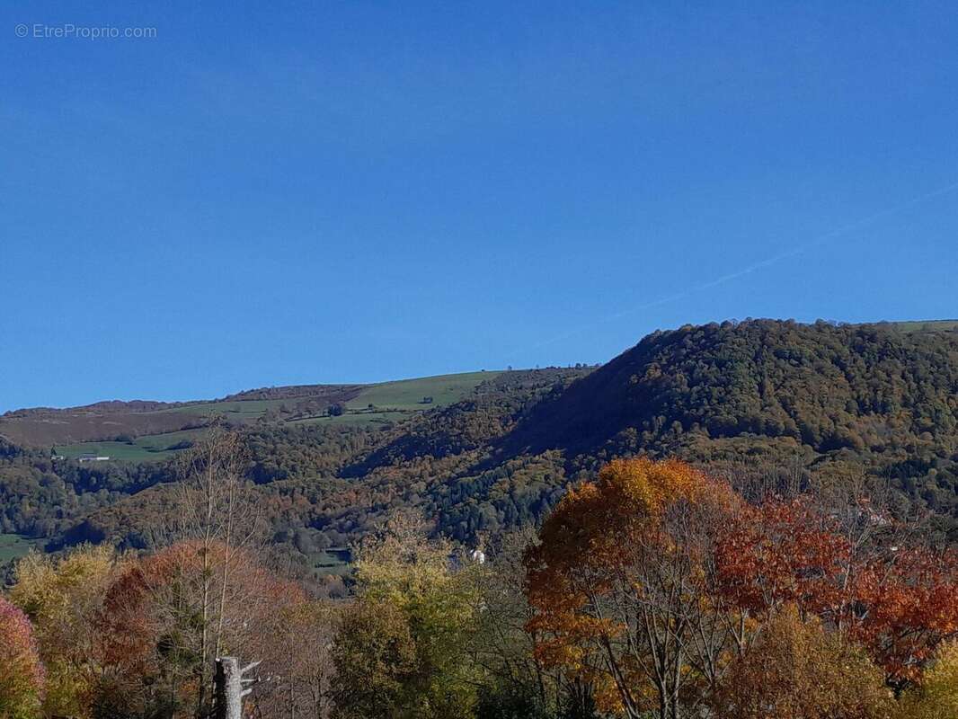 Photo 3 - Maison à VIC-SUR-CERE