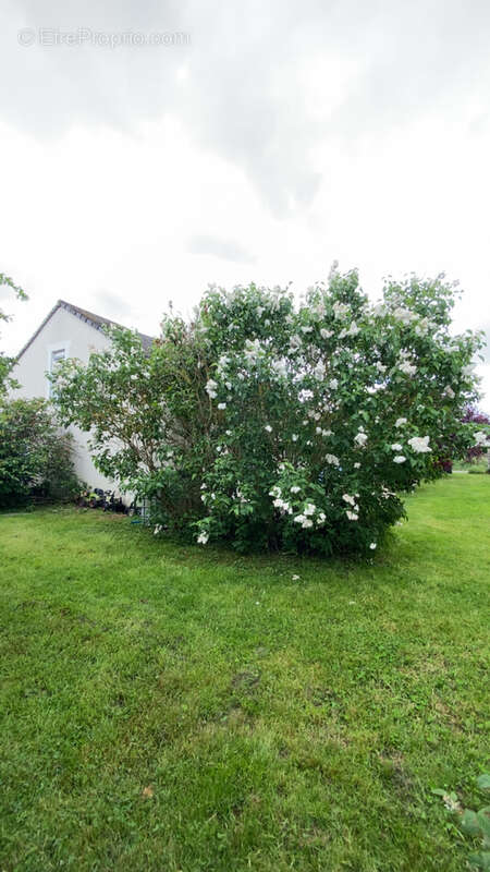 Pavillon individuel de 170 m2 habitables avec jardin - photo 15