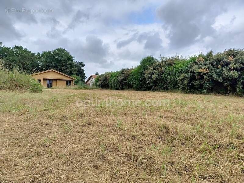 Terrain à PEYREHORADE