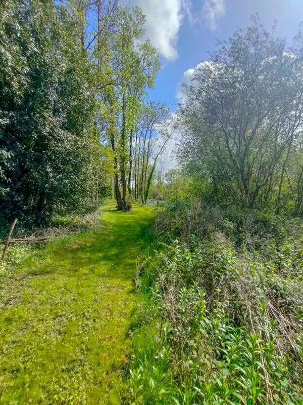 Terrain à SAINT-LAURENT-DE-LA-PREE