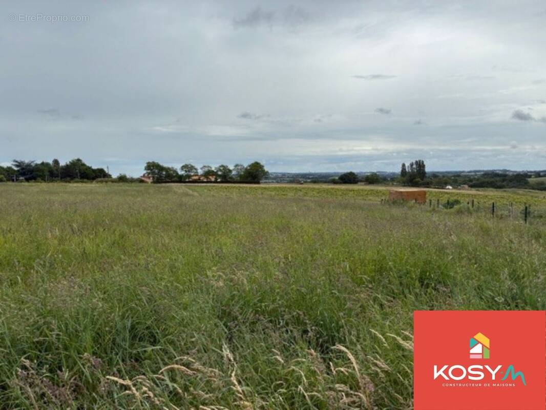 Terrain à LA CHAPELLE-SAINT-FLORENT