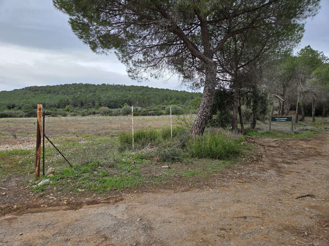 Terrain à FRONTIGNAN