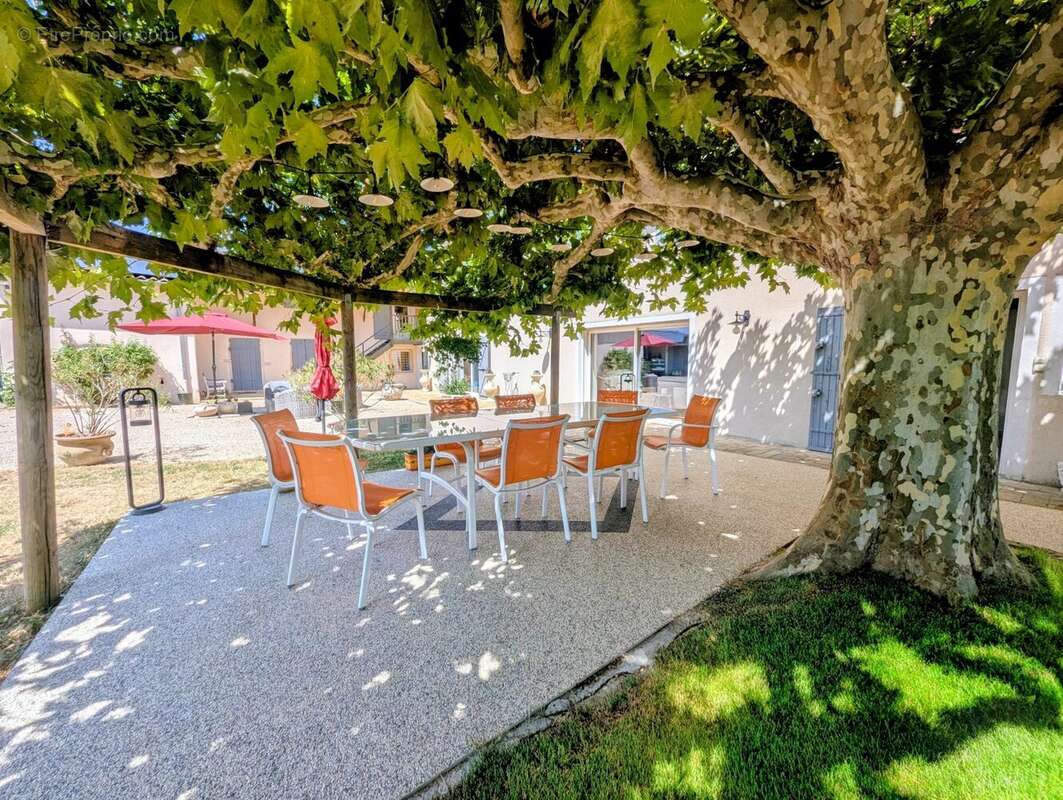 Maison 486 m² à Taponas  - photo 7