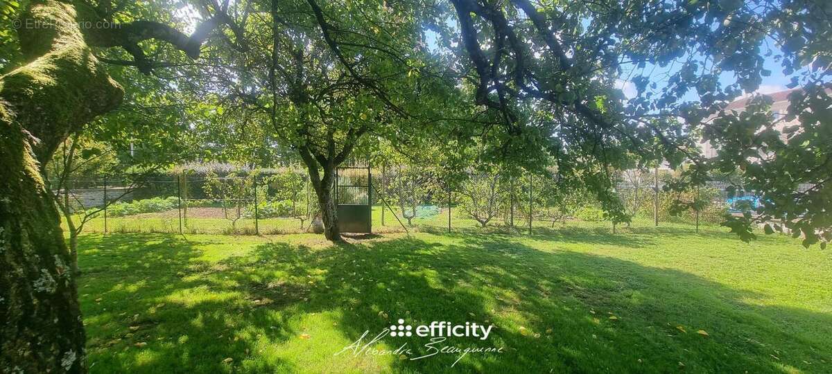 Maison à FAYE-SUR-ARDIN