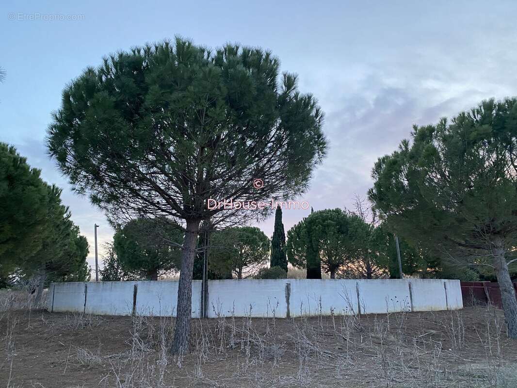 Maison à SAINT-LAURENT-D'AIGOUZE