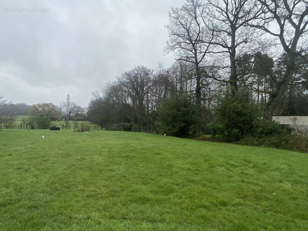 Terrain à CESSON-SEVIGNE