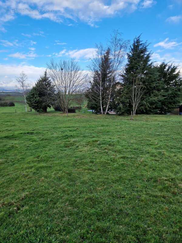 Terrain à CURGY
