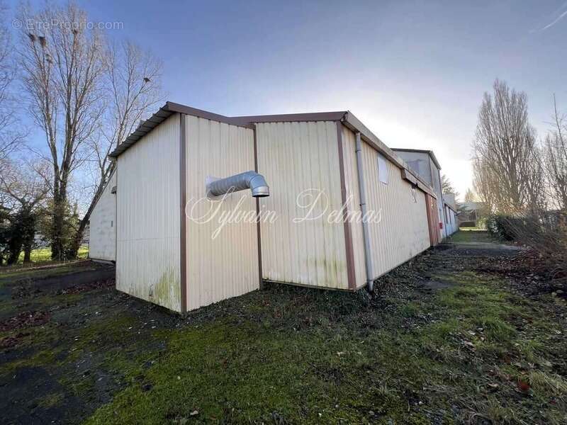 Commerce à NAZELLES-NEGRON