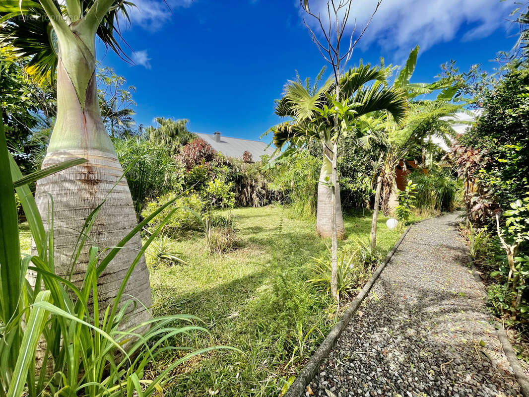 Maison à SAINT-JOSEPH