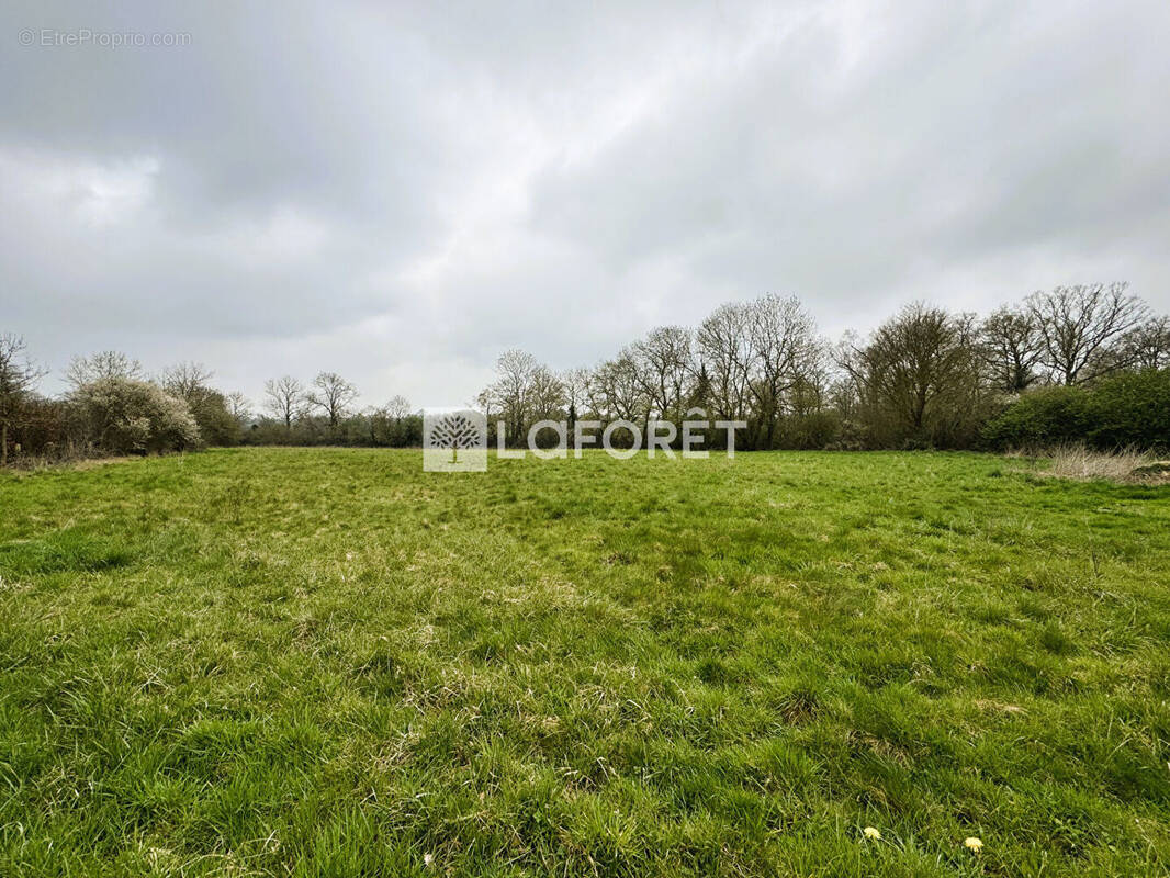 Terrain à ARGENCES