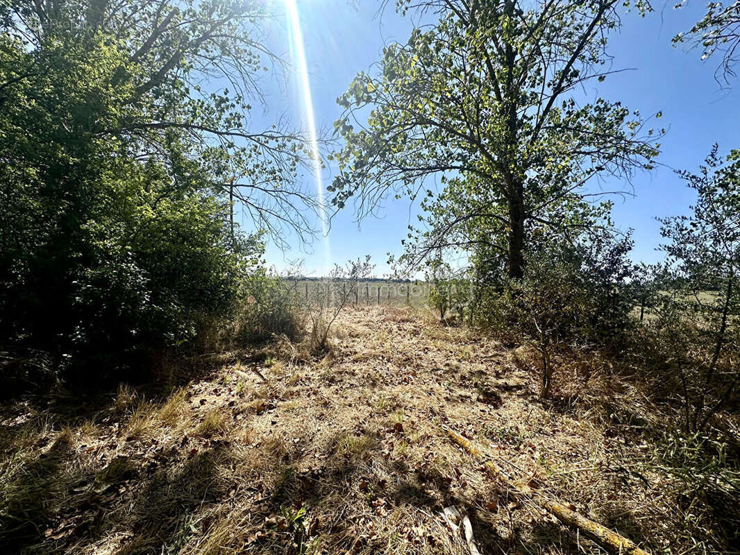 Mazet sur Terrain agricole Marsillargues - photo 3