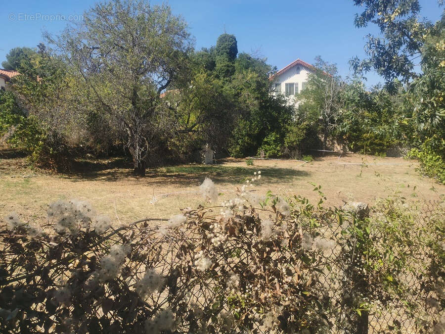 Terrain à PERTUIS
