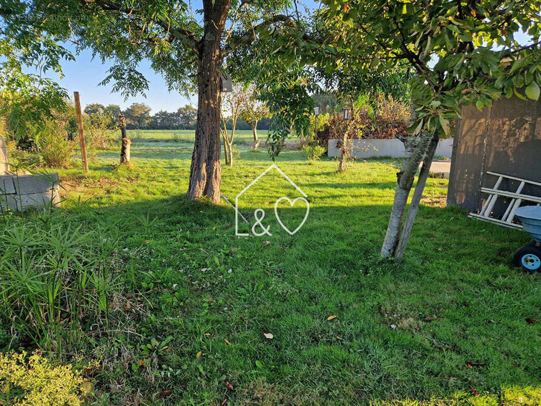 Terrain à SAINTE-FOY