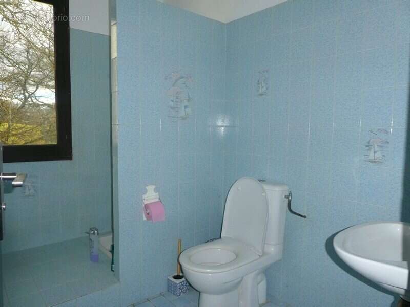 SALLE D EAU - Maison à ORTHEZ