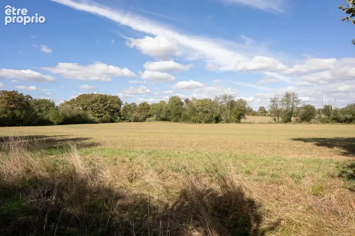 Authentique ferme landaise du XIXᵉ siècle  implantée sur 2 hectares - photo 15