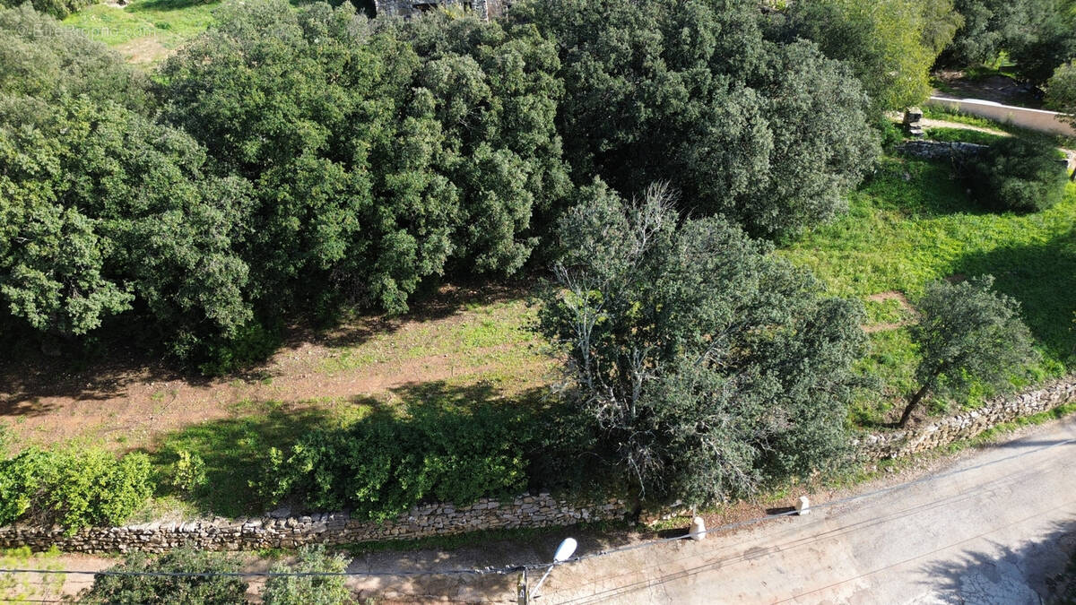 Terrain à PUECHABON