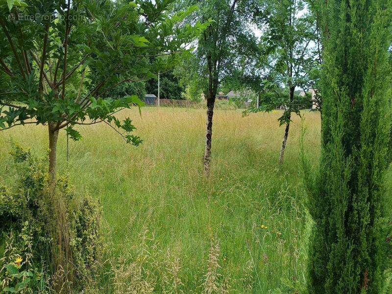 Maison à SAINT-SEURIN-SUR-L&#039;ISLE