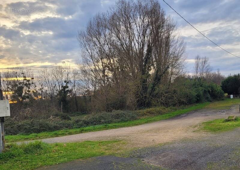 Terrain à PORT-DE-PILES