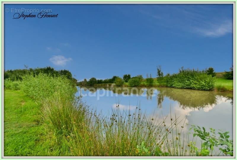 Terrain à BOULT-AUX-BOIS