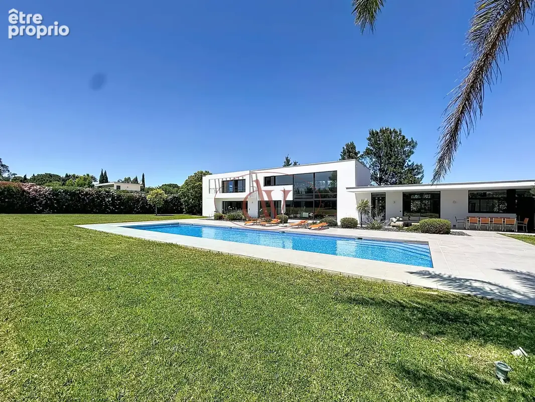 Mas llaro - exclusivite - photo 1