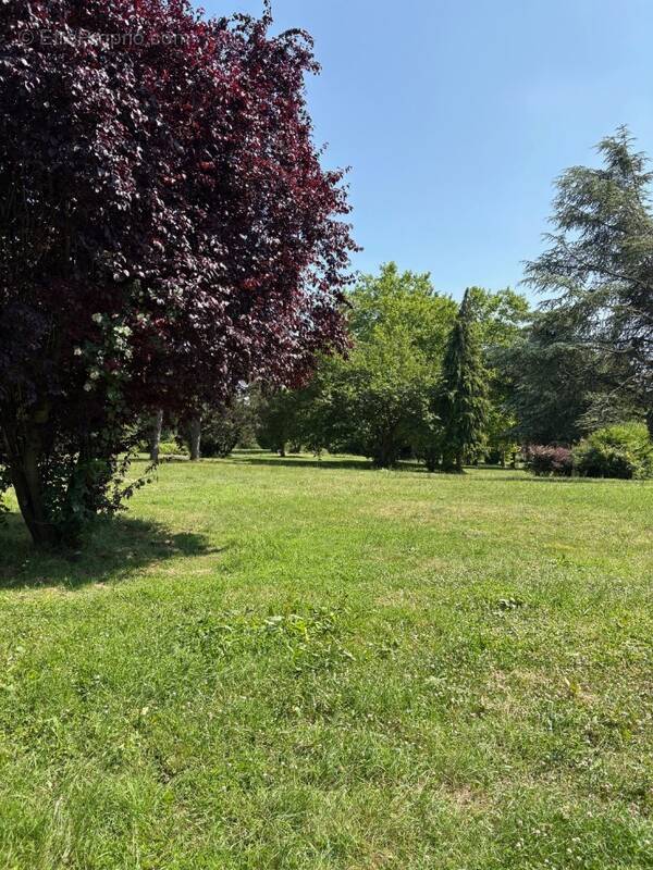 Terrain à MEZY-SUR-SEINE