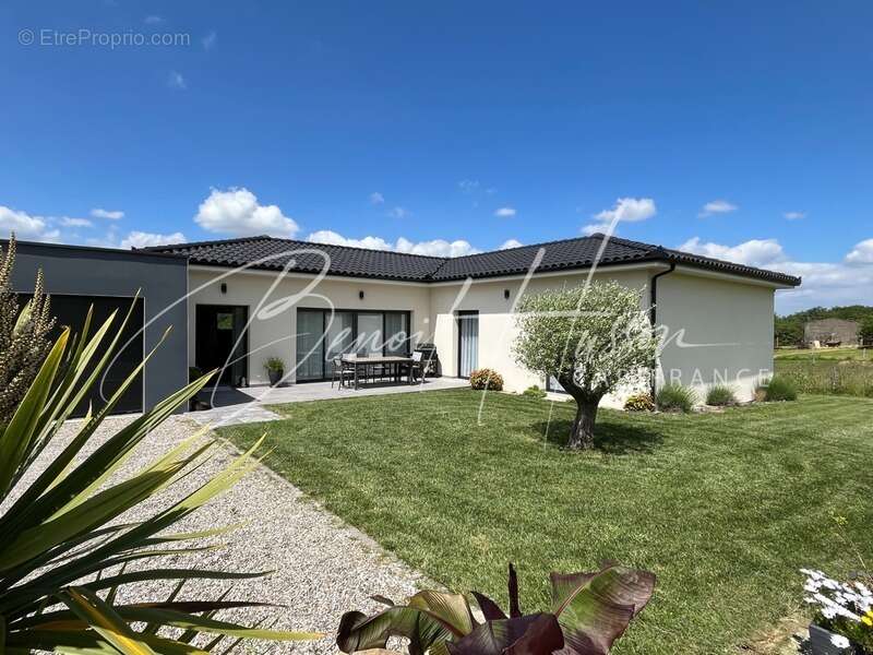 Maison de plain-pied de 157m² sur 1466m² de terrain - photo 3