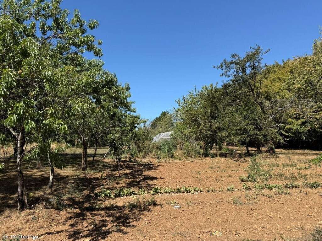 Maison de Campagne au Calme Avec 3 Chambres et Terrain - photo 27