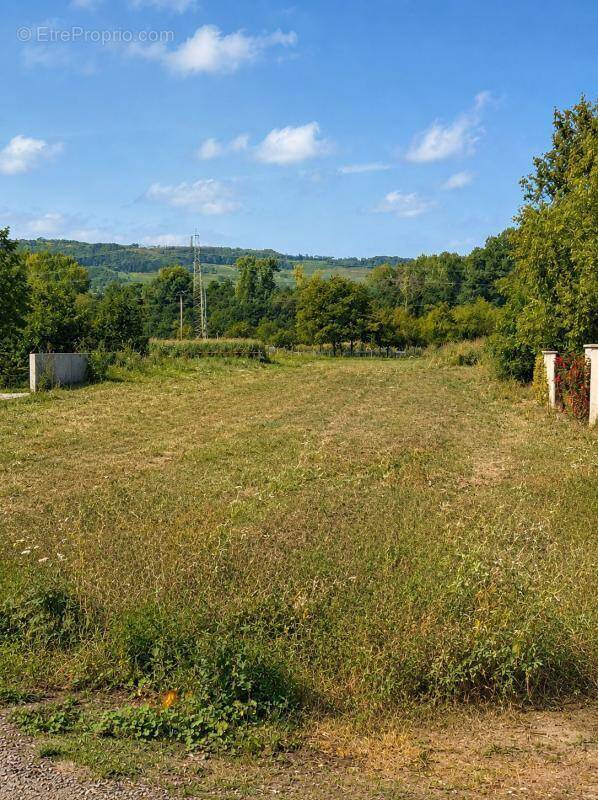 Terrain à DORLISHEIM