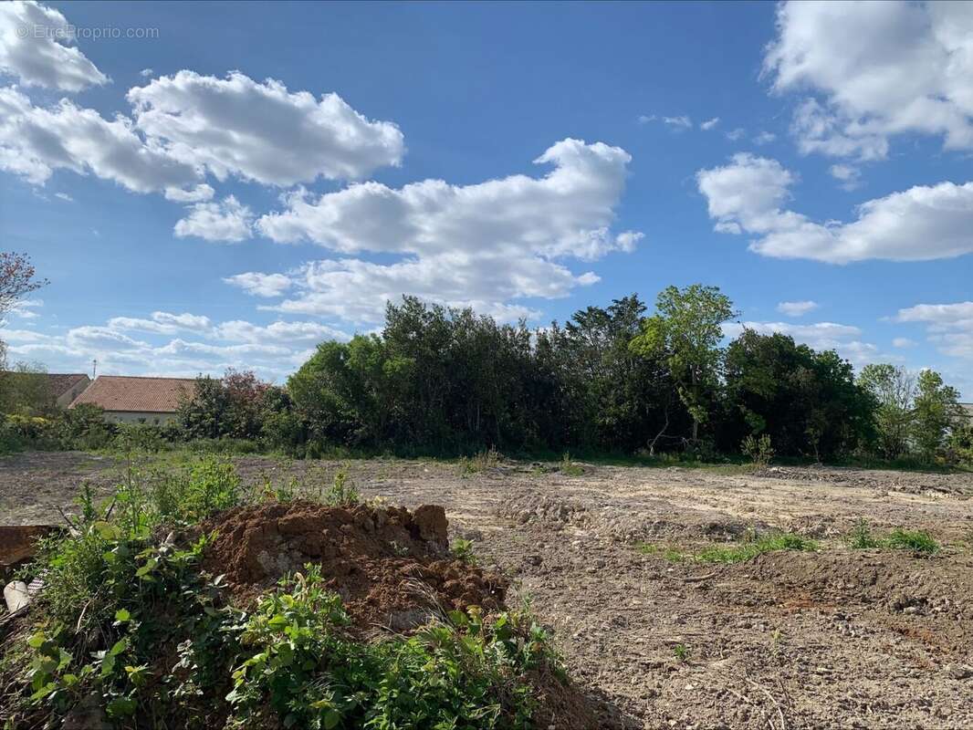Terrain à VERINES