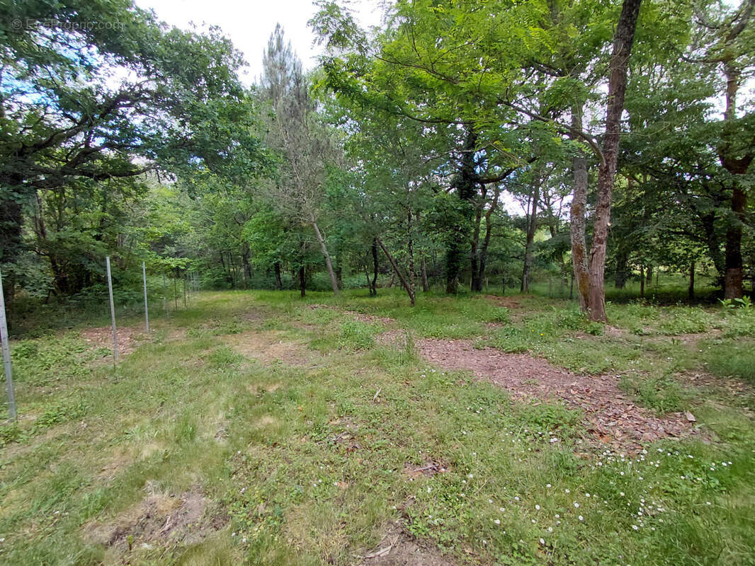 Les Lèches - Plain-pied de 4 chambres - photo 13