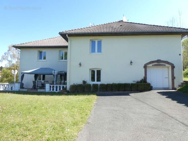 JULIENRUPT (88)à vendre , propriété T7 de 235m² , hangar extérieur , carport, terrain 8400m² - photo 5