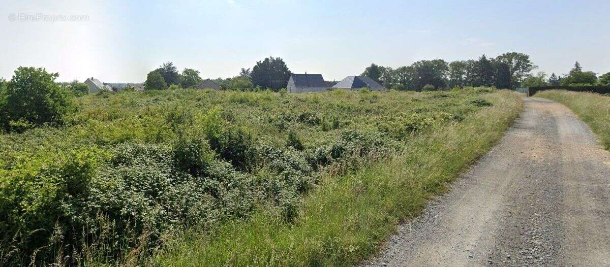 Terrain à SAINT-PATERNE-RACAN